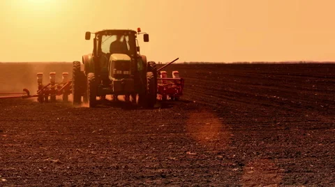 Spring Sowing of Sugar Beet Stock Footage 62342846