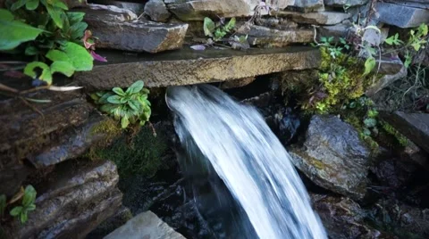 Spring spouting out of a rock, clear water, summer, rill  source of ecological w Stock-Footage 68549222