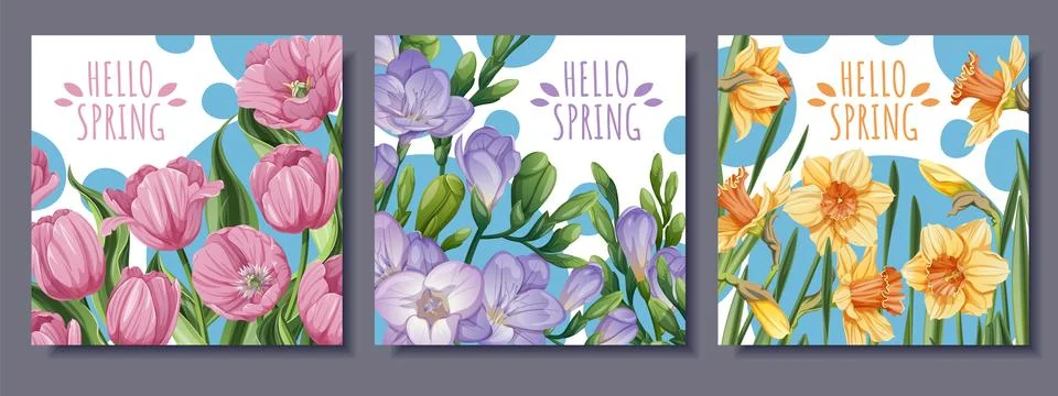 Spring Square Card Set with Tulip, Daffodil and Freesia Bouquets. Floral Stock Illustration