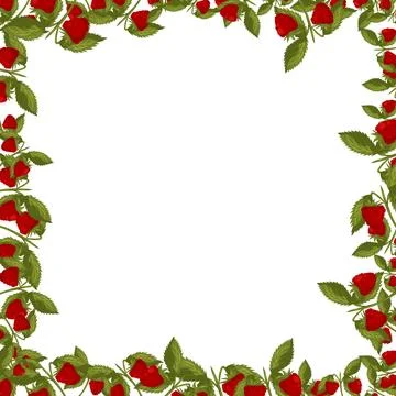 Spring square frame with raspberries and leaves. Summer vector border Stock Illustration