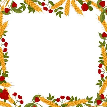 Spring square frame with raspberry cranberries and wheat branches. Summer v.. Stock Illustration