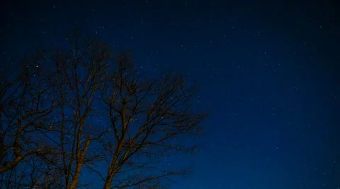 Spring Stars - 4K Time Lapse Vidéo 46592342
