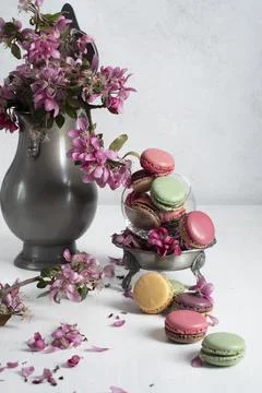 Spring still life with colored macaroons and pink apple tree flowers in a pewter Stock Photos