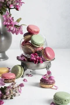 Spring still life with colored macaroons and pink apple tree flowers in a pewter Stock Photos