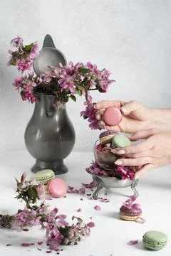 Spring still life with colored macaroons and pink apple tree flowers in a pewter Stock Photos
