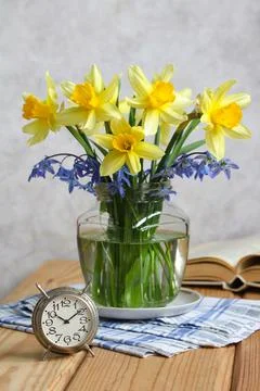 Spring still life with daffodils in rustic style. Stock-Fotos