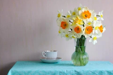 Spring still life with different daffodil varieties in glass vase, white cu.. Stock Photos