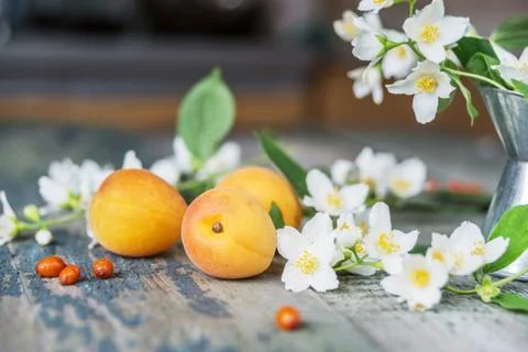 Spring still life Stock Photos