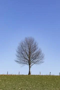 Spring is still not in sight Stock Photos