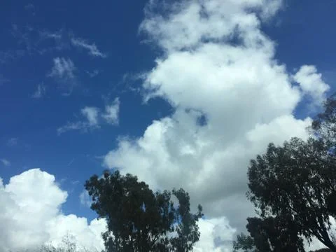 Spring Storm 19 Stock Photos