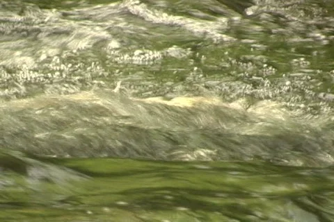 Spring Stream 02 Video stock 502910