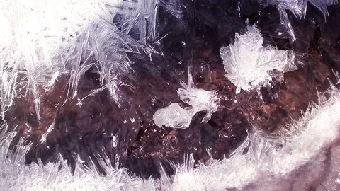 Spring Stream and Ice Pattern Stock Footage 71790006