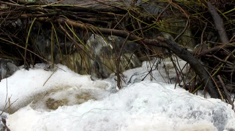 Spring stream, closeup Video stock 36524141