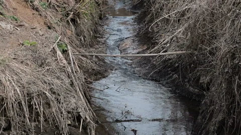 Spring stream the end of winter at sunny day Video stock 165971909