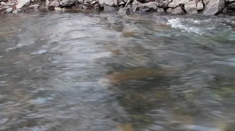 Spring stream with floating big piece of ice Video stock 63790590
