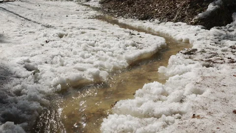 Spring stream is flowing in forest in sunny day Stockbeeldmateriaal 331873509