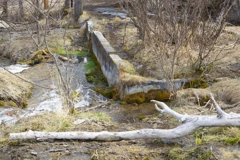 Spring Stream Flowing by Old Cement Foundation Stock Photos