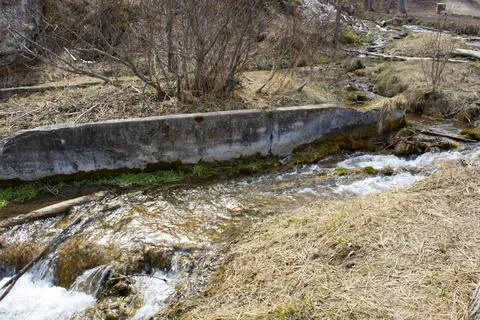 Spring Stream Flowing by Old Cement Foundation Stock Photos