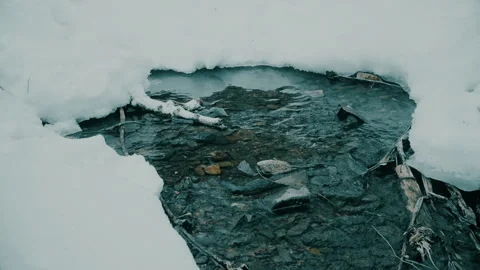 Spring stream flowing through thawing snow Stock Footage 104230059