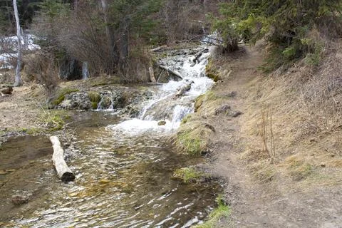 Spring Stream Flowing through Woods - Waterfall Flow Foto stock