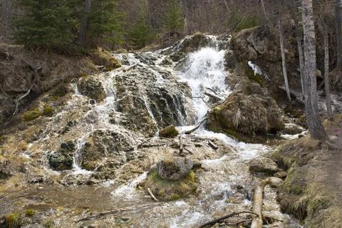 Spring Stream Flowing through Woods - Waterfall Flow Foto stock
