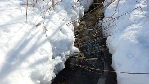 A spring stream flows against the backdrop of a snow-covered natural landscape Stock Footage 170185180