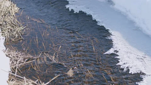 Spring stream flows against backdrop of a snow-covered natural landscape Stock Footage 172467367