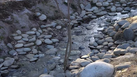 Spring stream flows over the stones with sunshine Stock Footage 161084162