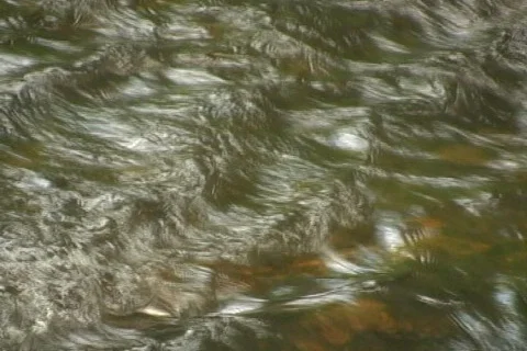 Spring Stream Video stock 502672