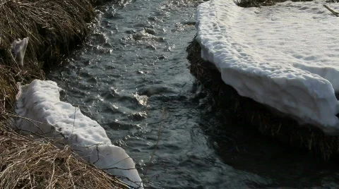 Spring, stream, Stock-Footage 878817