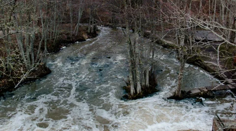 Spring stream Stock Footage 33695554