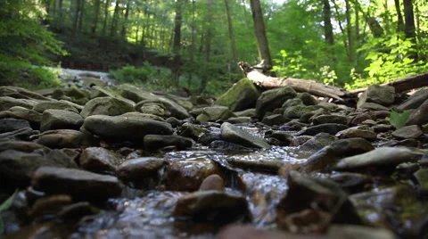 Spring Stream Stock Footage 46203327