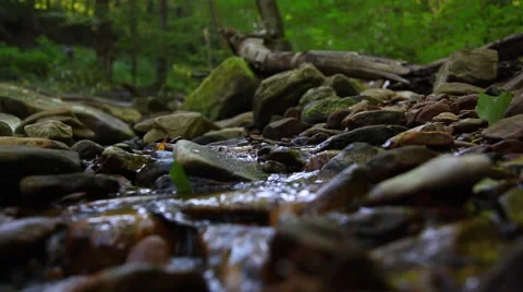 Spring Stream Stock Footage 46203393