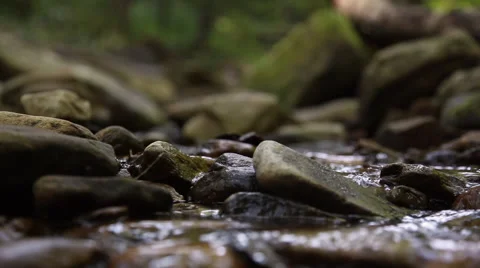 Spring Stream Stock Footage 46203401