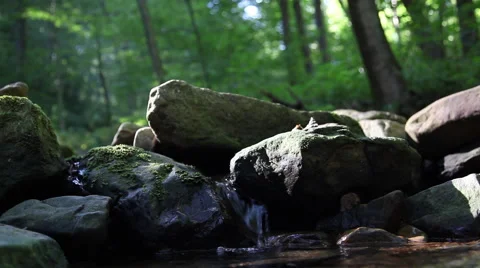Spring Stream Stock Footage 46203445
