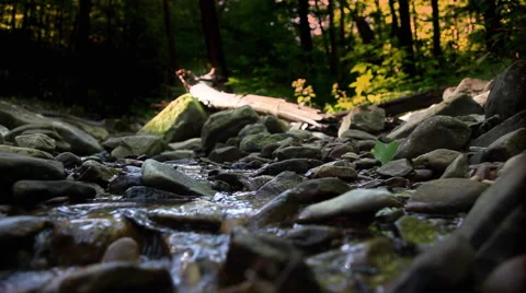 Spring Stream Stock Footage 46203496