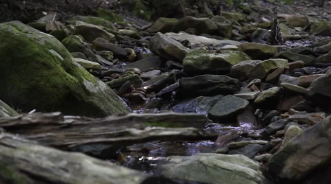 Spring Stream Stock Footage 46203498