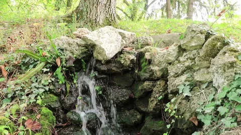 Spring Stream Stock Footage 83386929