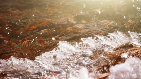 Spring Stream Stock Footage 88001155