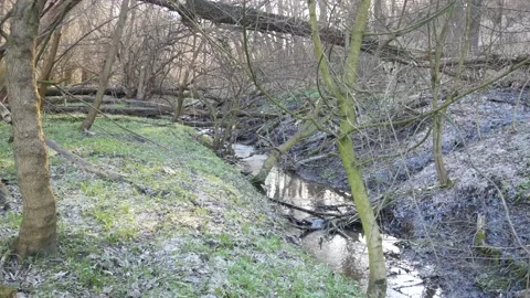 Spring Stream Stock Footage 139721820