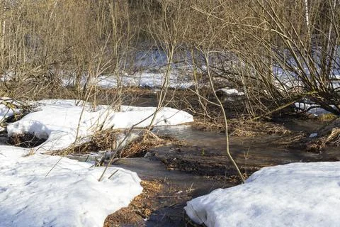 Spring. a stream in the forest. thawing areas. Little creek. Stock Photos