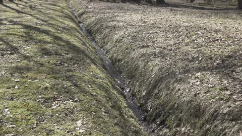 Spring stream formed because of thawing of snow flows in a ditch  in sunny day Stock Footage 99808577