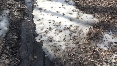 Spring stream formed because of thawing of snow flows in a ditch  in sunny day Video stock 99809268