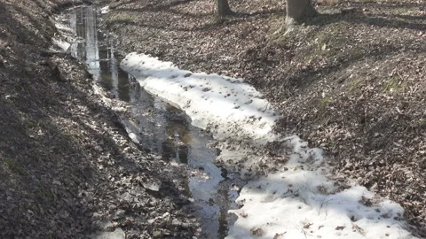 Spring stream formed because of thawing of snow flows in a ditch  in sunny day Stock Footage 99809785