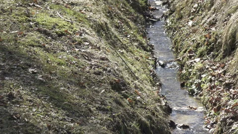 Spring stream formed because of thawing of snow flows in a ditch  in sunny day Stock Footage 99810842
