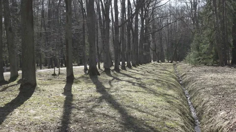 Spring stream formed because of thawing of snow flows in a ditch  in sunny day Stock Footage 99811590