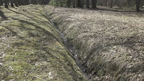 Spring stream formed because of thawing of snow flows in a ditch  in sunny day Stock Footage 99813080