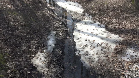 Spring stream formed because of thawing of snow flows in a ditch  in sunny day Stock Footage 99813848