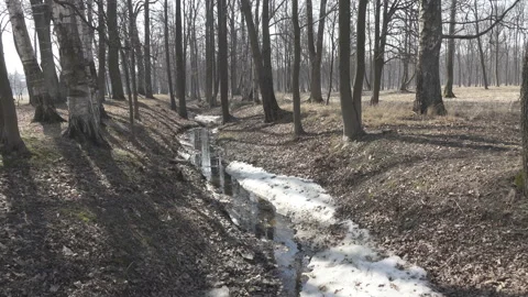 Spring stream formed because of thawing of snow flows in a ditch  in sunny day Stock Footage 99814010