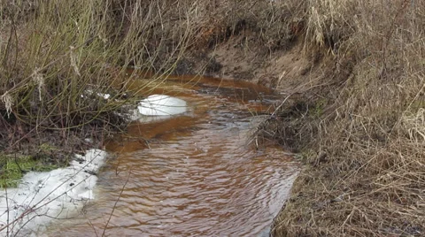Spring stream, long shot Stock Footage 36524126